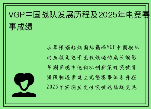 VGP中国战队发展历程及2025年电竞赛事成绩